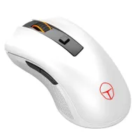 

                                    Thunderobot ML201 Wireless Gaming Mouse